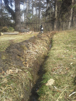 on- contour swale / Hugelkultur bed that stretches across the width of the property to catch/slow down moving rainwater 