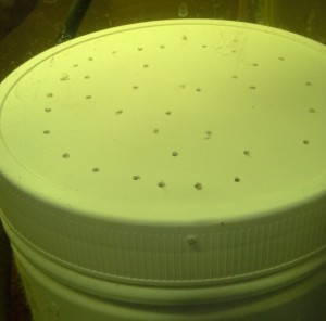 DIY Aquarium filter lid with holes drilled