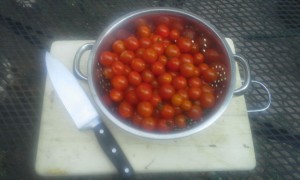 cherry tomatoes for juicing